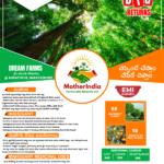Farm Lands 605 SQ Yards At 4.5 Lakhs Only