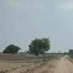 11 Acres Agriculture Land at Vijayawada highway