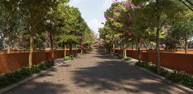 WhatsApp Image 2025-09-18 at 3.37.03 AM