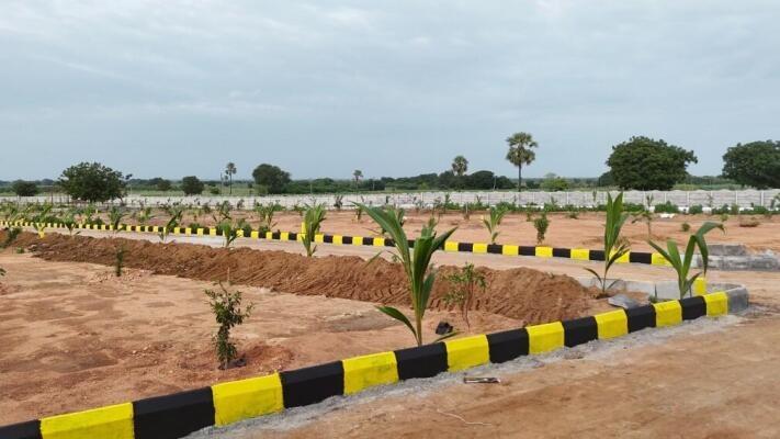 WhatsApp Image 2025-09-18 at 3.37.04 AM